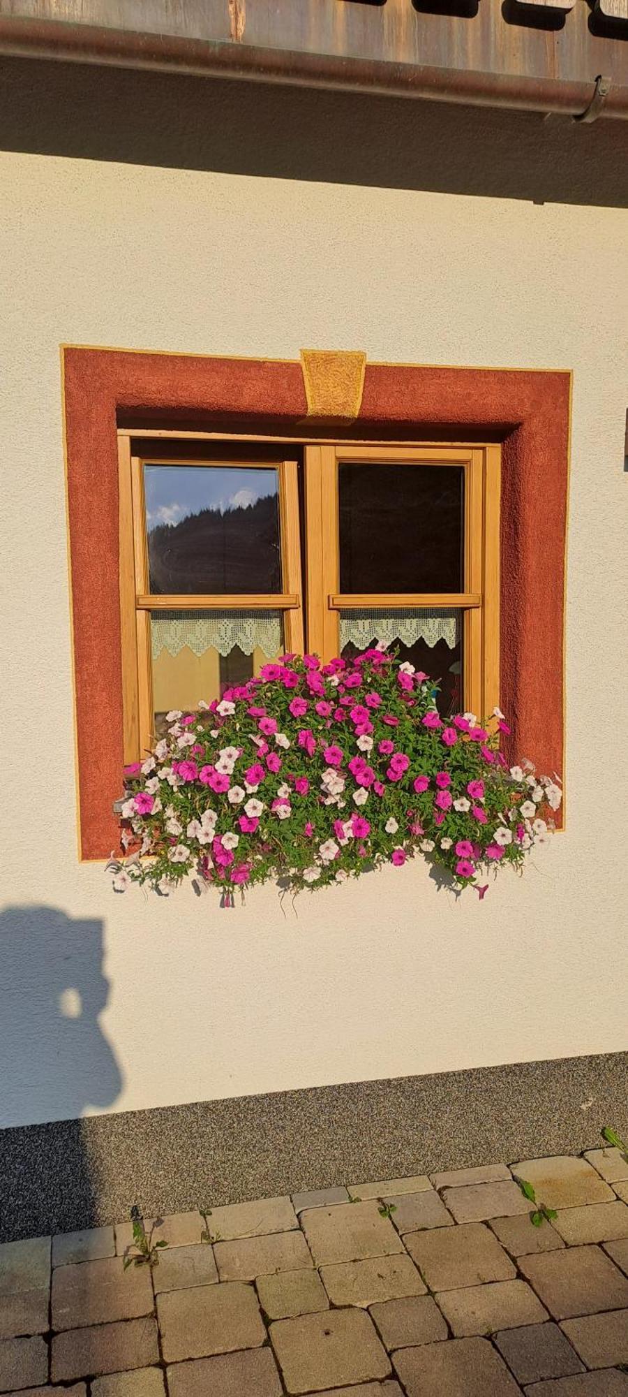 Ferienwohnung Steinernes Meer Maria Alm Extérieur photo