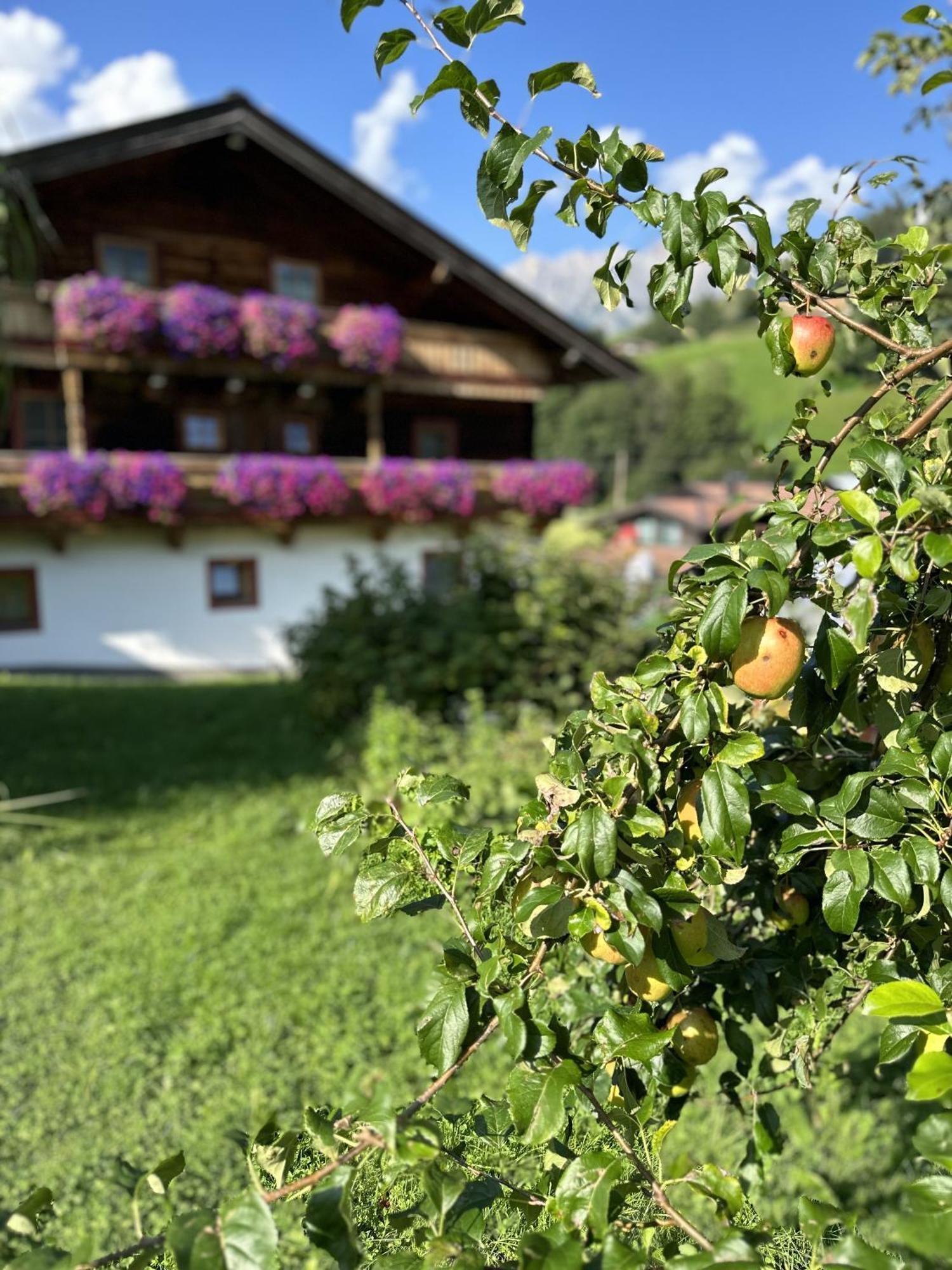 Ferienwohnung Steinernes Meer Maria Alm Extérieur photo