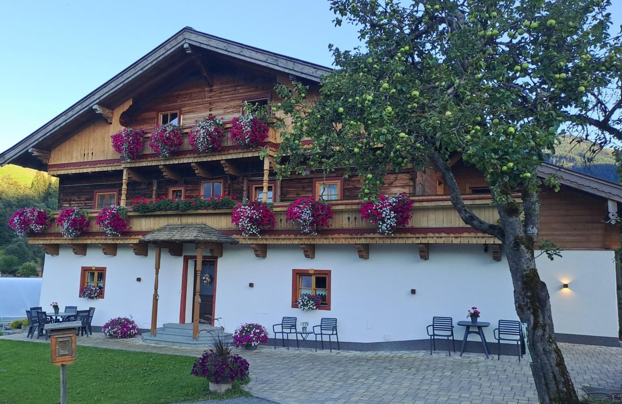 Ferienwohnung Steinernes Meer Maria Alm Extérieur photo